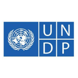 19-undp